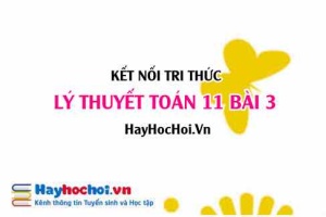 Lý thuyết Toán 11 Bài 3: Hàm số lượng giác (Kết nối tri thức)